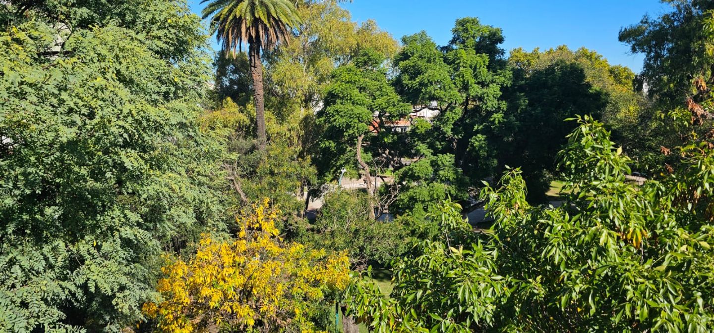 Edificio en Venta en Constitucion, Capital Federal - USD 460.000 | Inmoup - 12