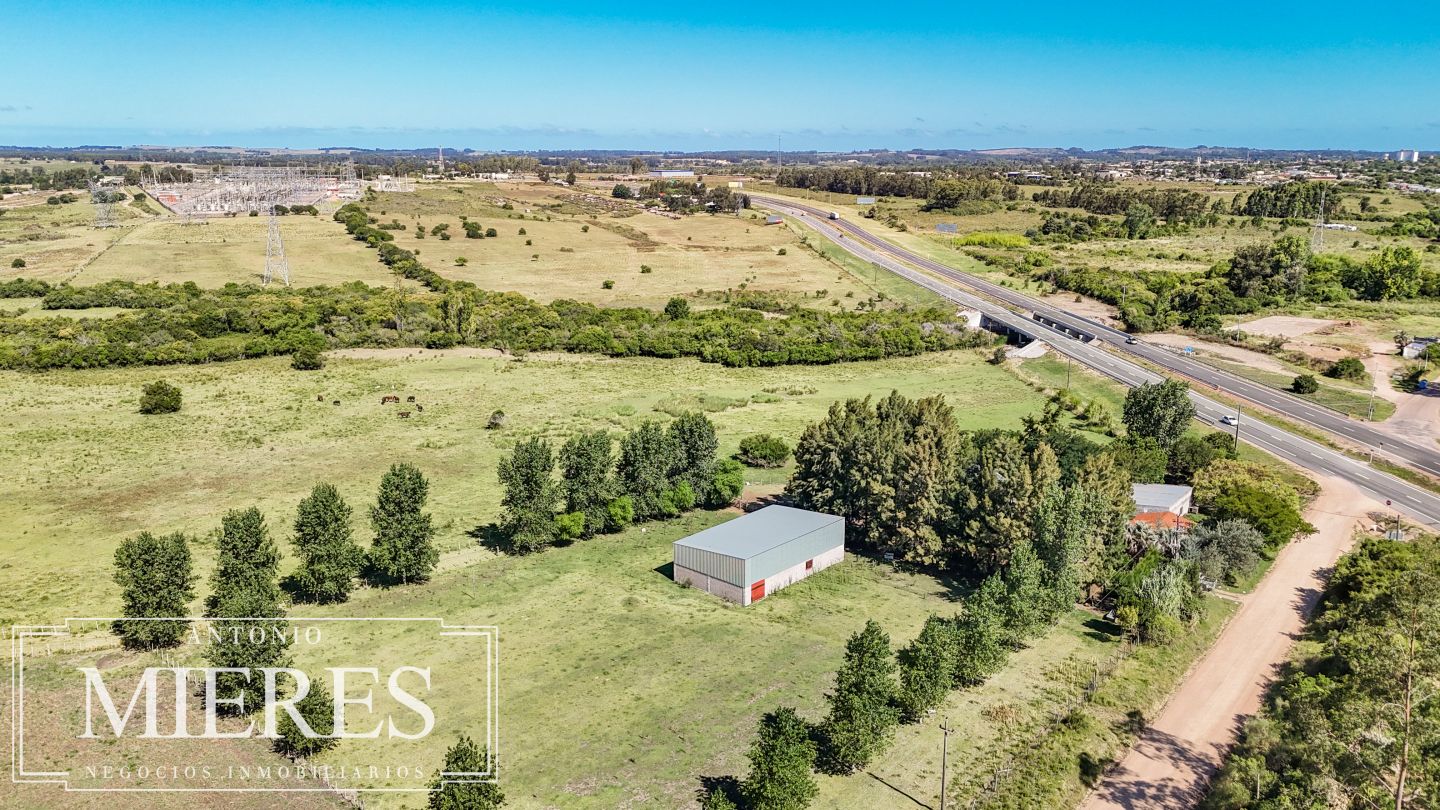 Quinta EN VENTA