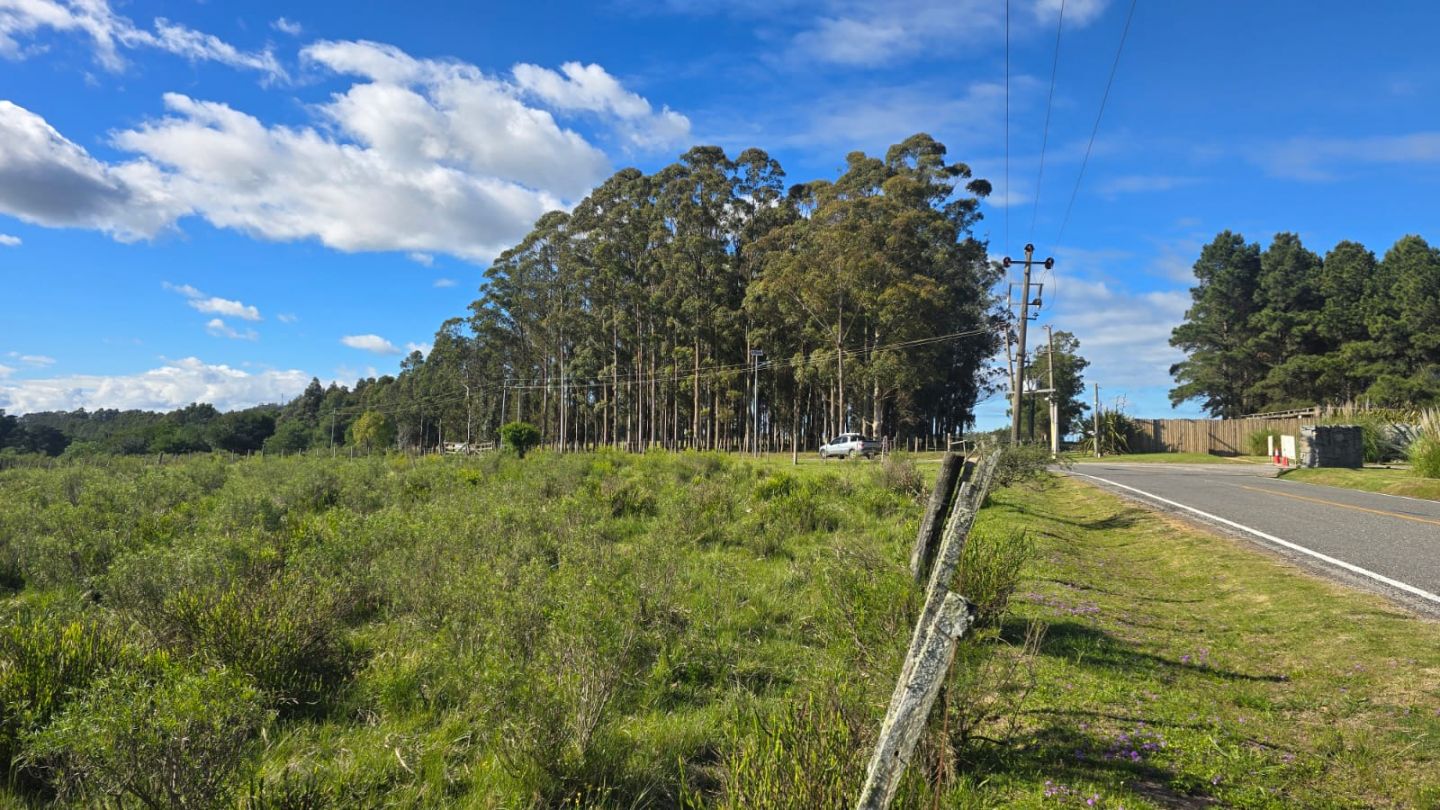 Quinta EN VENTA