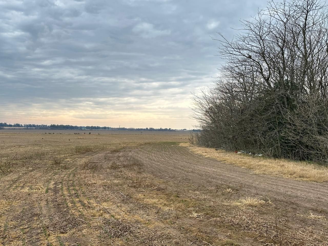 Campo en Venta en Arrecifes, Buenos Aires Interior