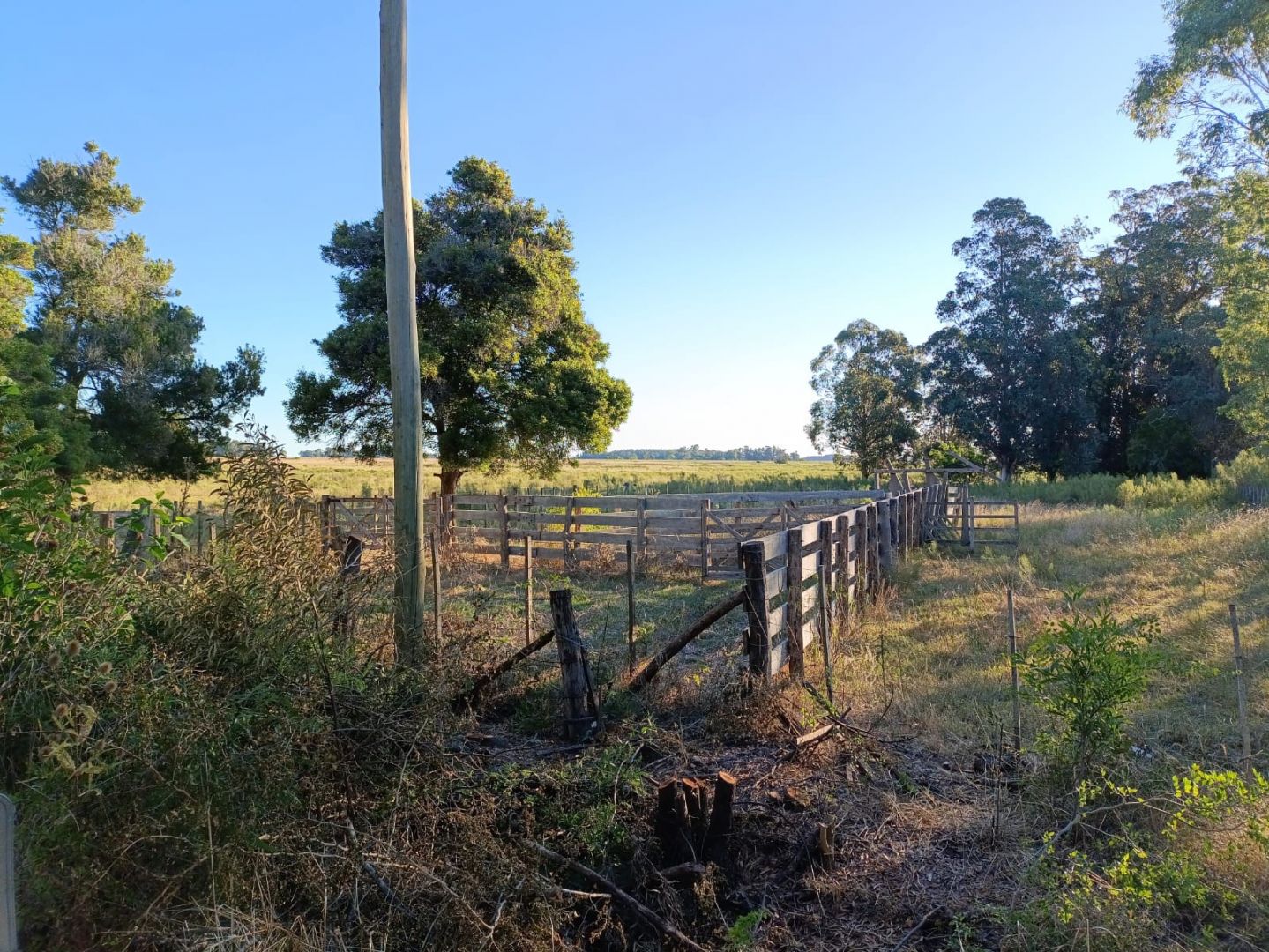 Campo EN VENTA