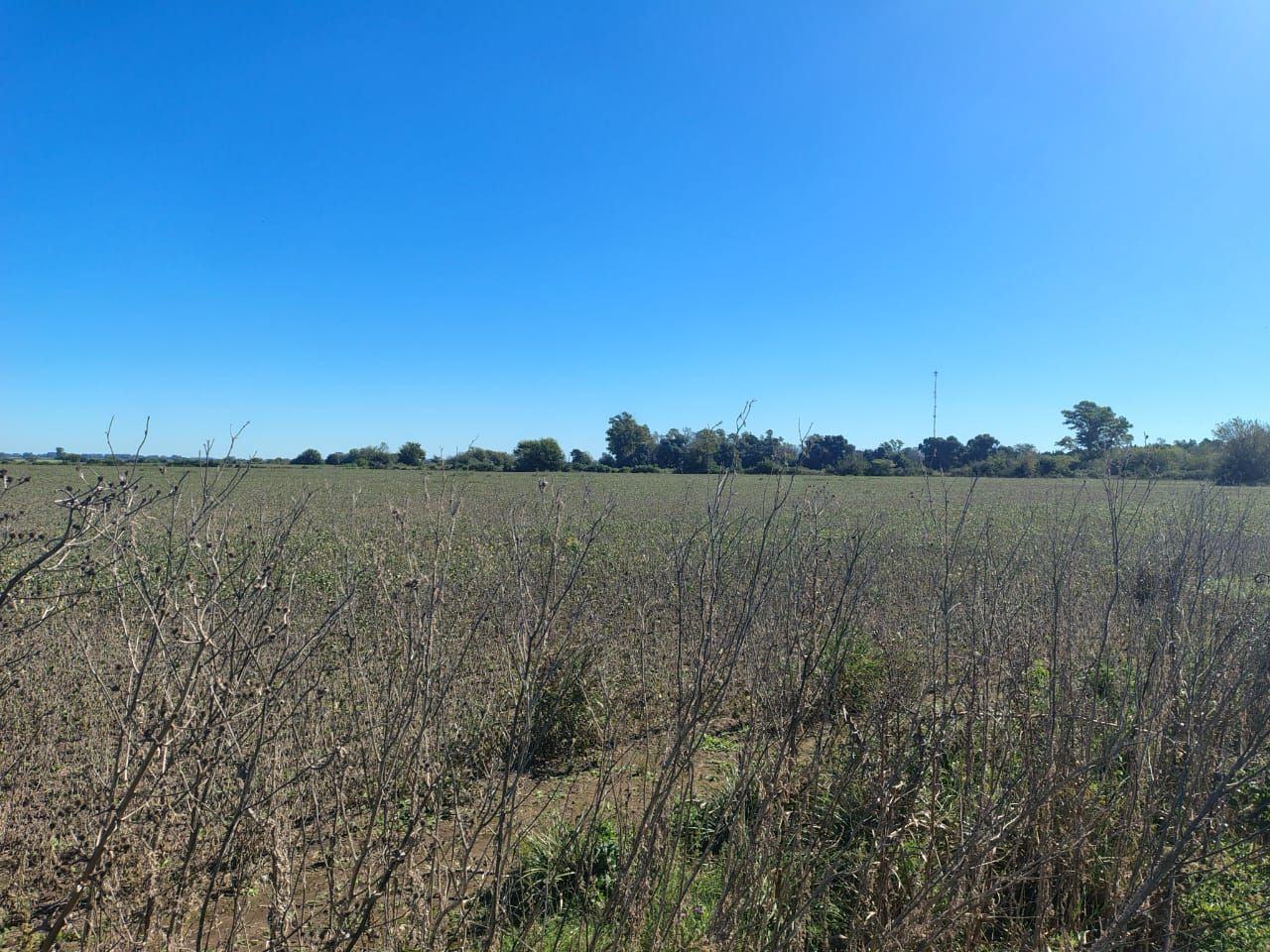 Campo en Venta en Zarate, G.B.A. Zona Norte