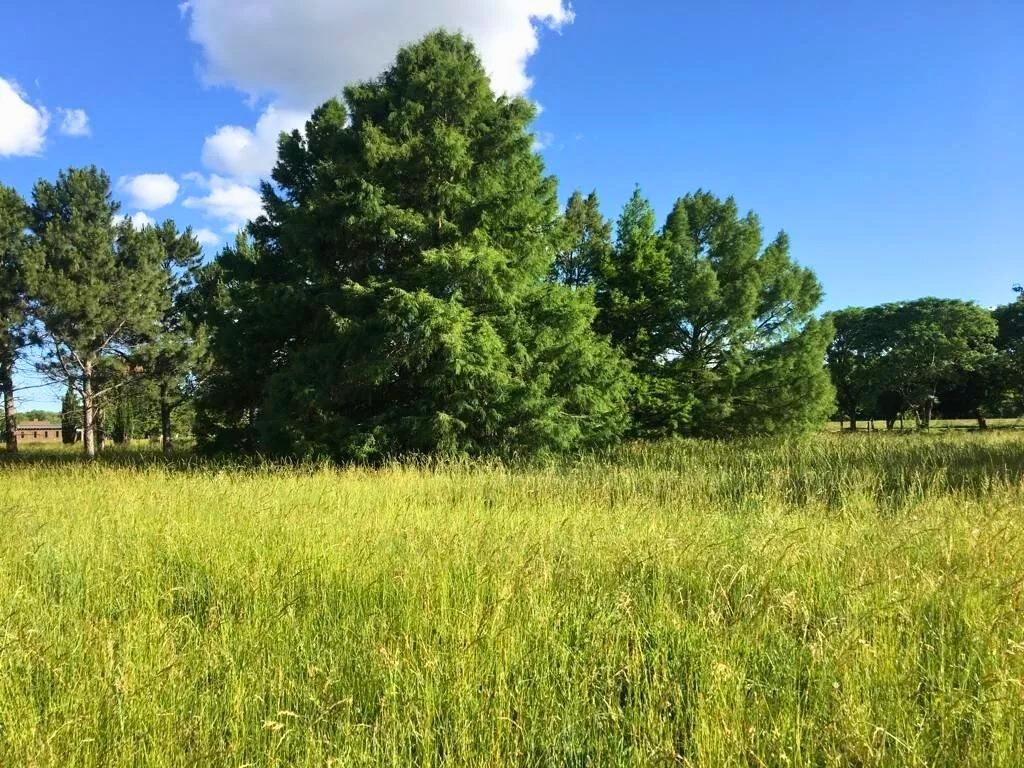 VENTA DE LOTE EN Ezeiza - Estancia Villa María - 6