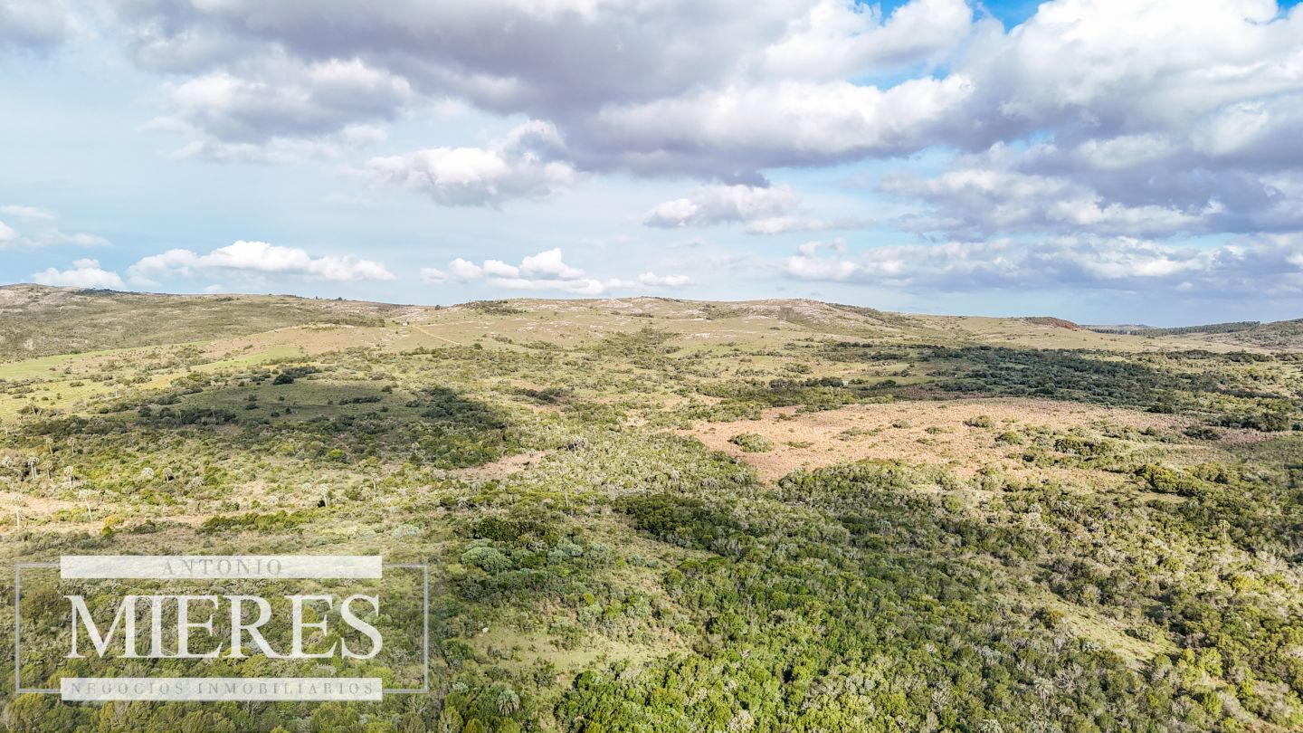 Campo EN VENTA