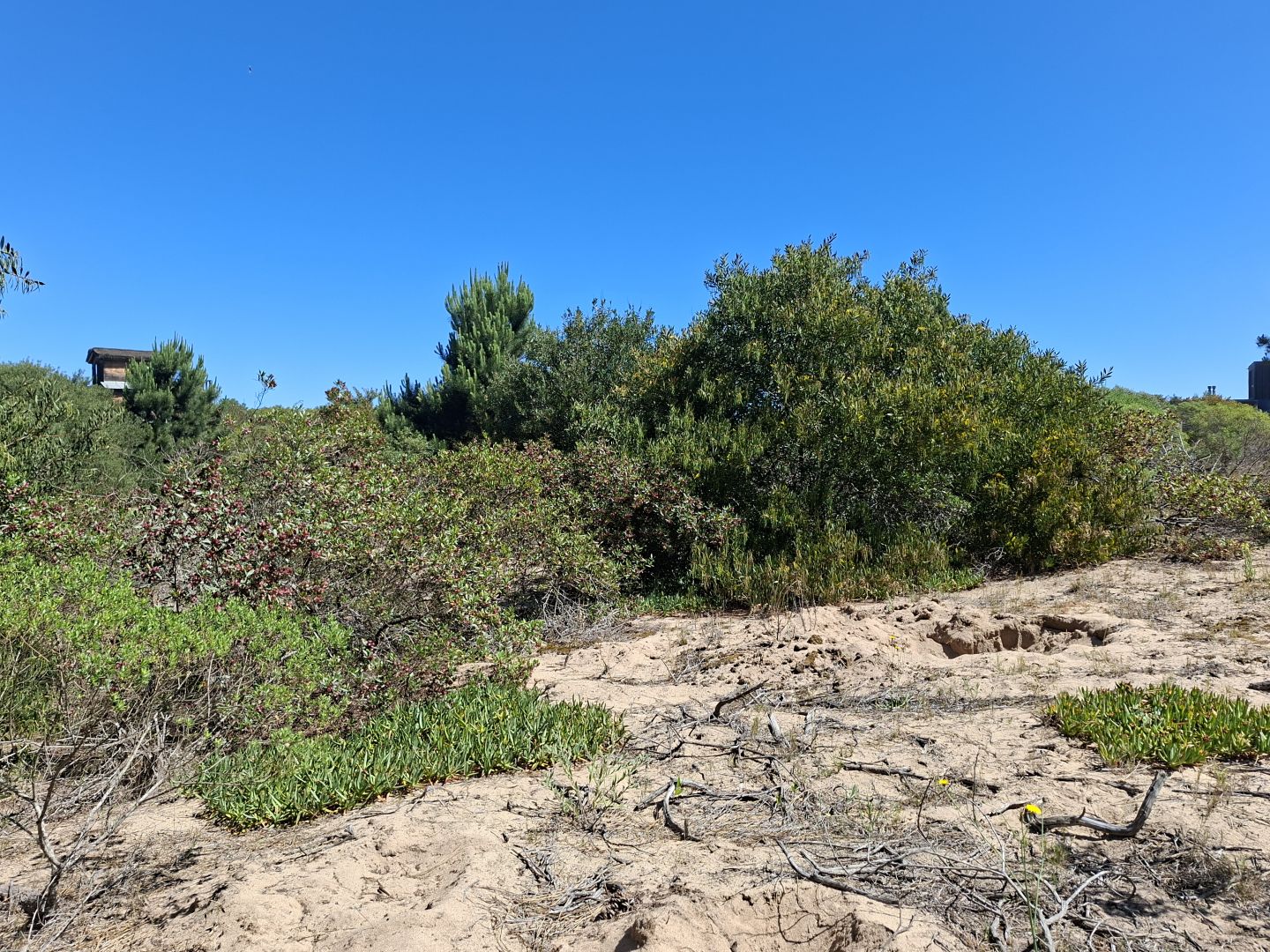 Lote EN VENTA