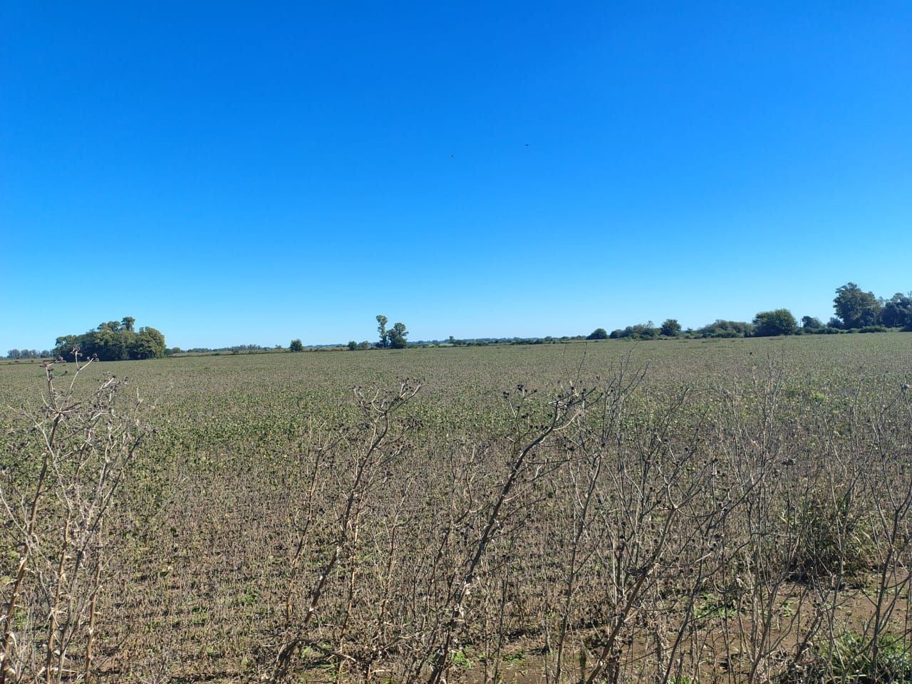 Campo en Venta en Zarate, G.B.A. Zona Norte