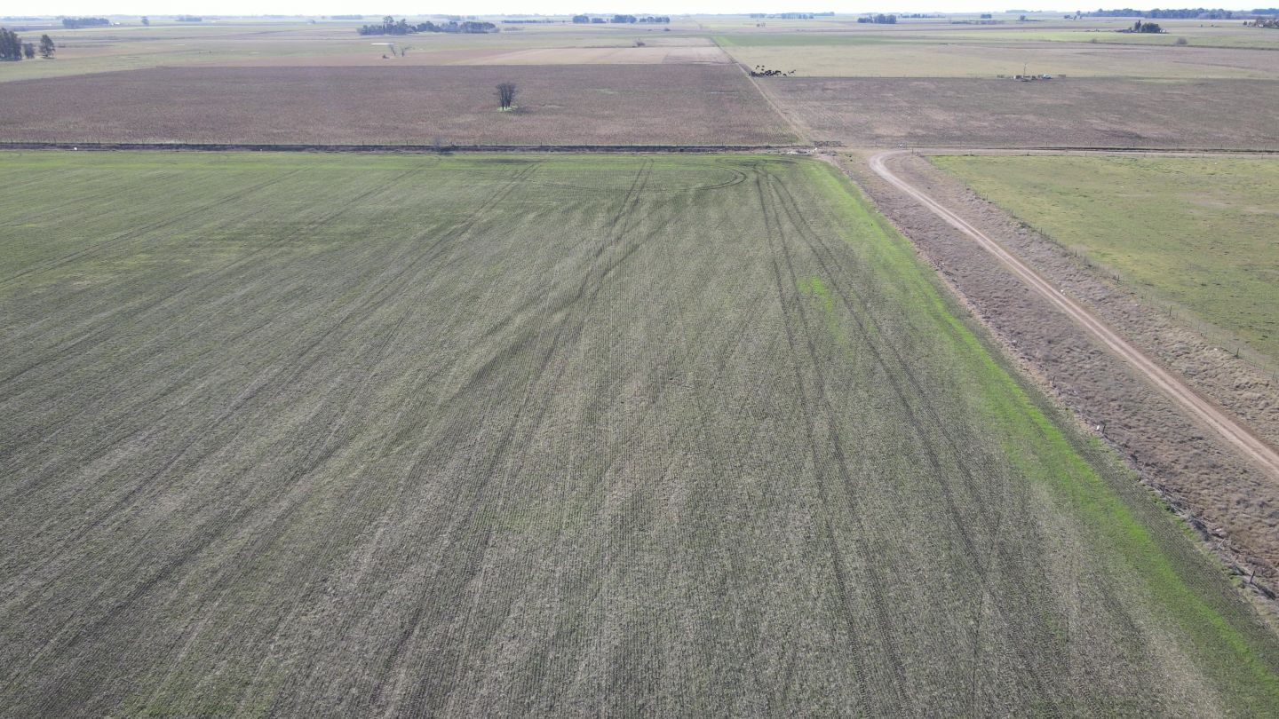 Campo EN VENTA