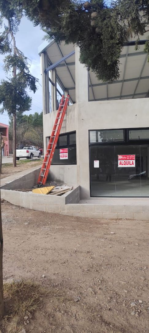 Imagen 2