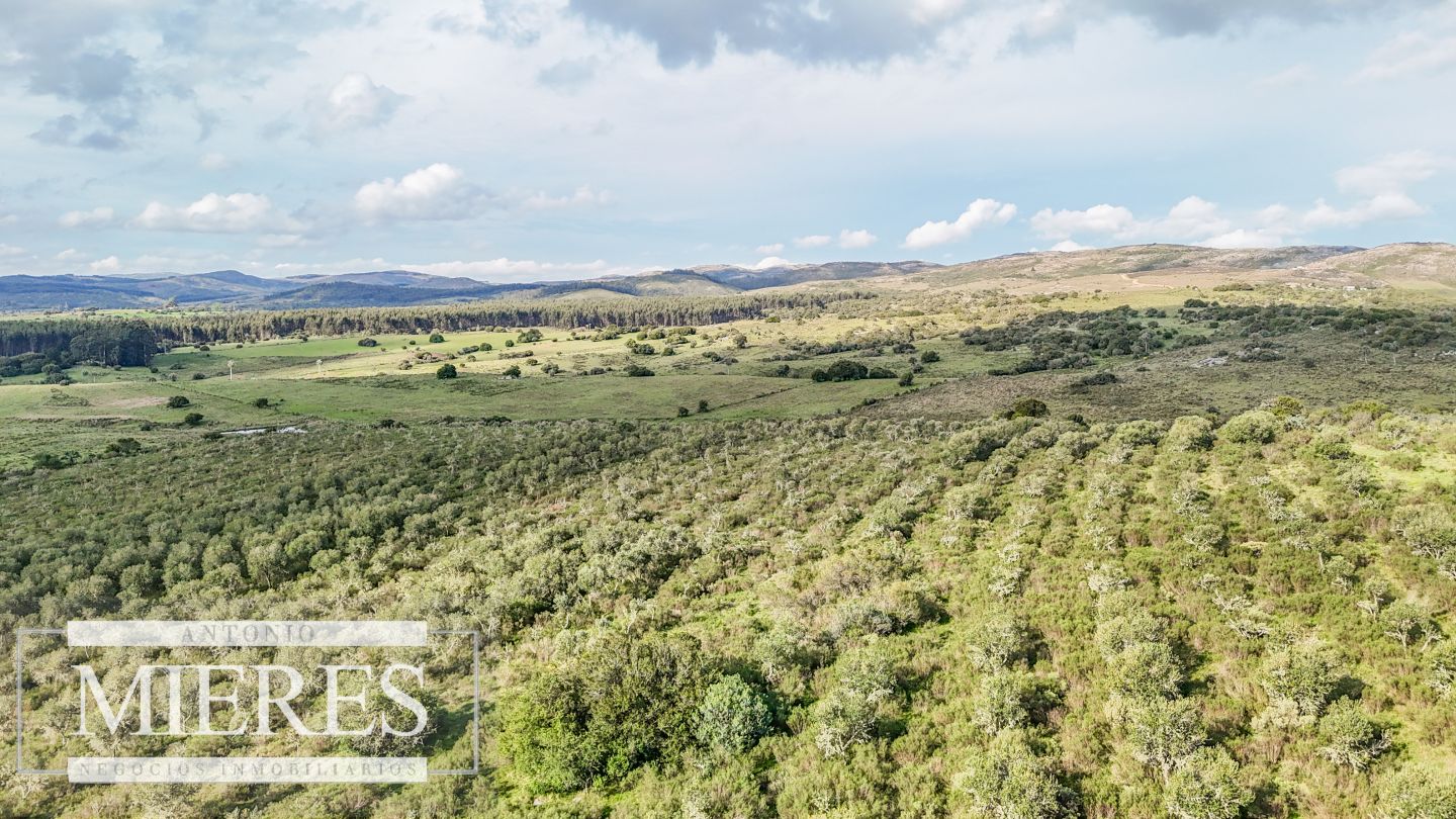 Campo EN VENTA