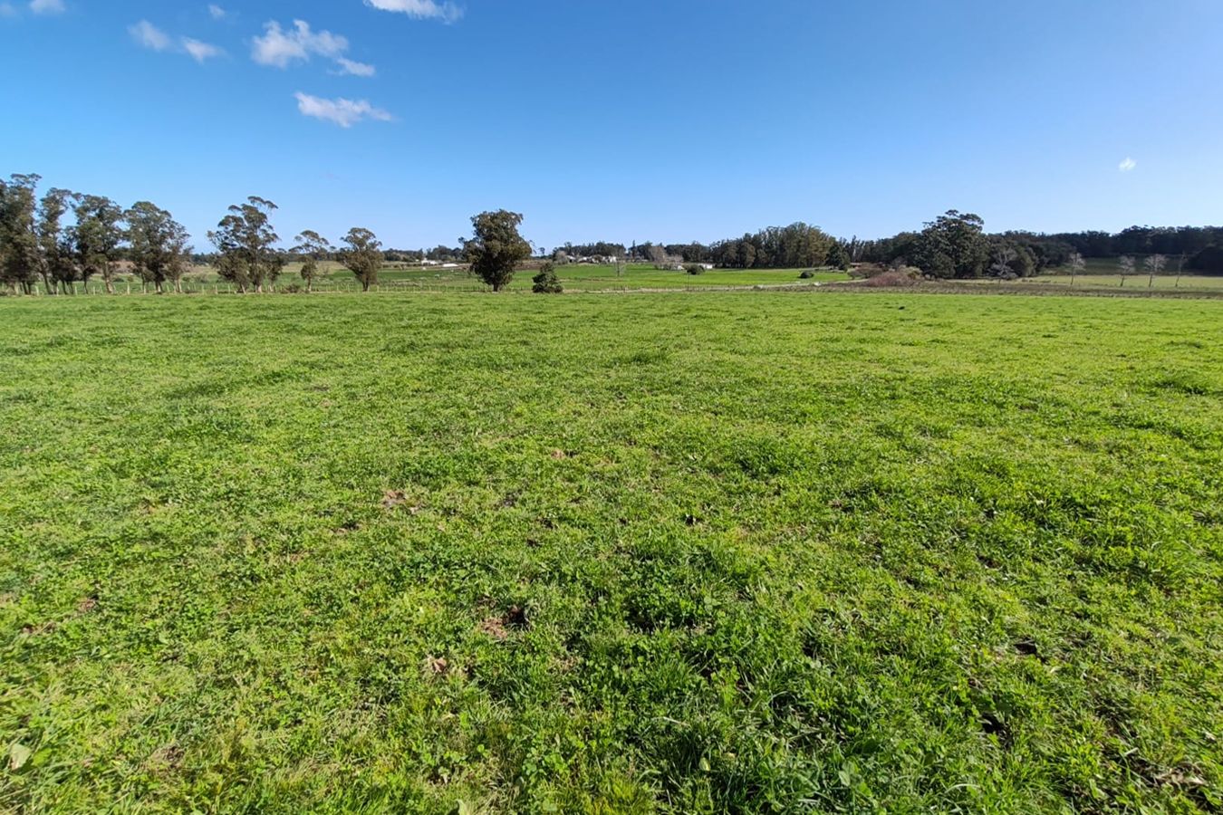 Campo EN VENTA