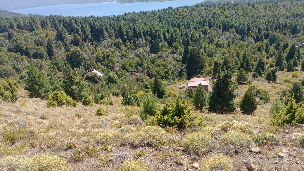 Lote en Venta en San Martin de los Andes, Neuquen