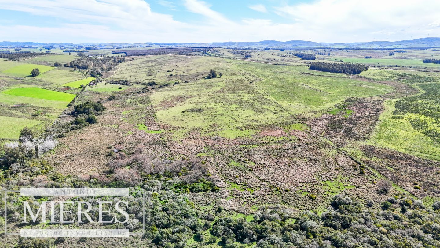 Campo EN VENTA