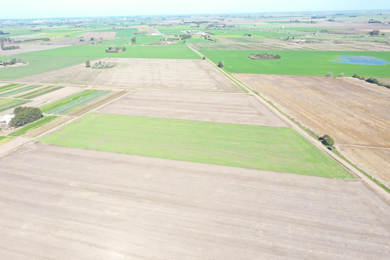 VENTA DE CAMPO EN General Lagos - 5