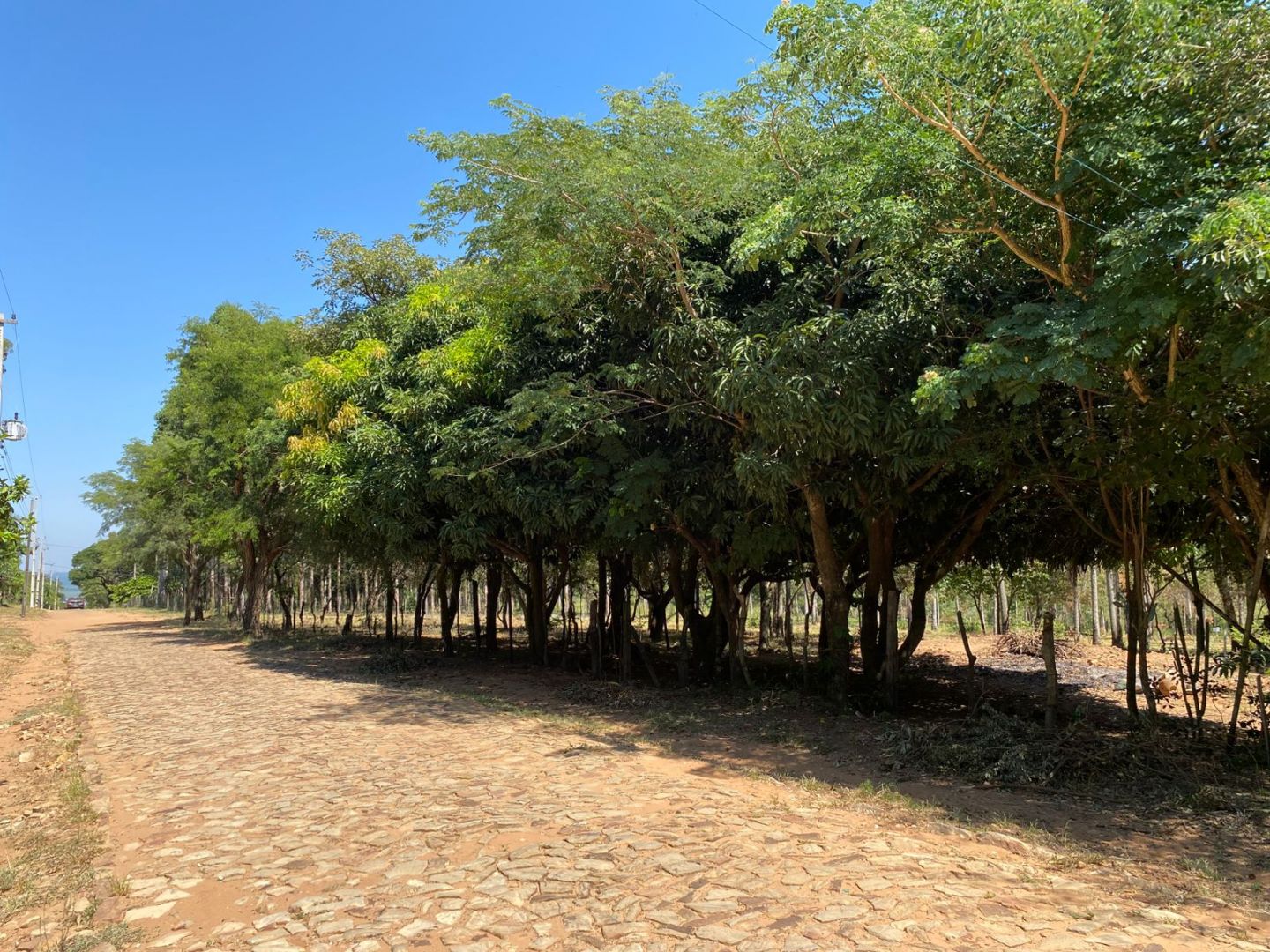 Terreno en venta Ciervo Cua 