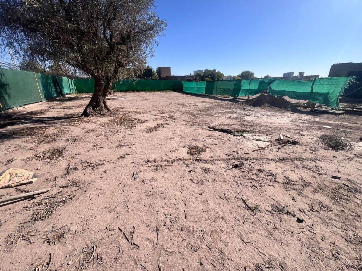Lote en Venta en Lujan de Cuyo, Mendoza