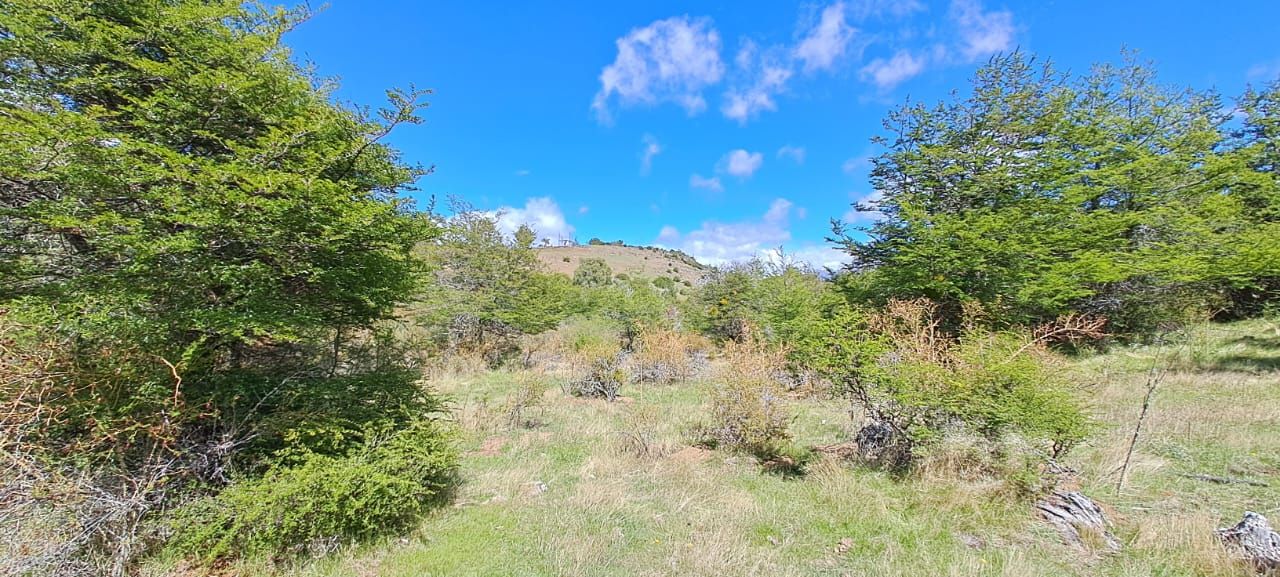 VENTA DE LOTE EN Cholila - 7