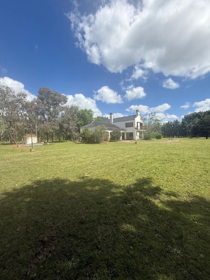 VENTA DE CAMPO EN Brandsen - Gómez de la Vega - 44