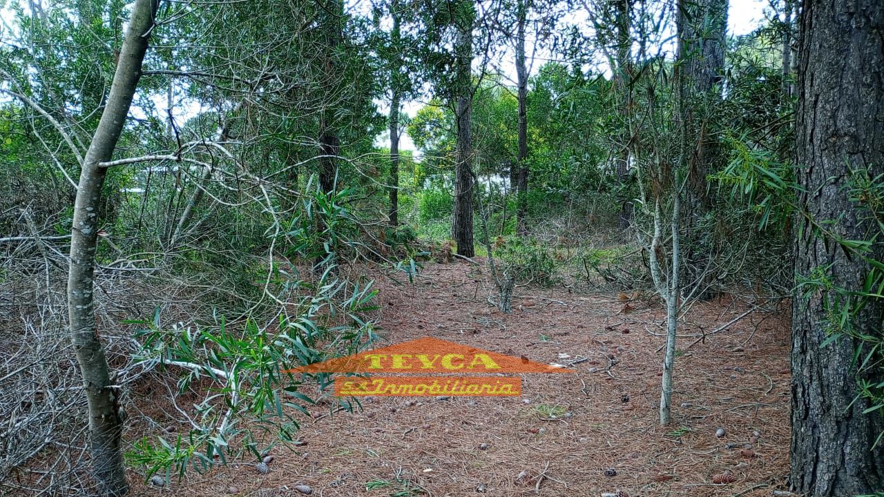 Lote en venta Norte 0 ambientes