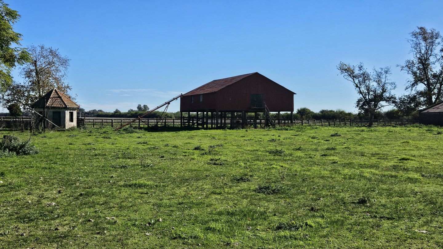 Campo EN VENTA