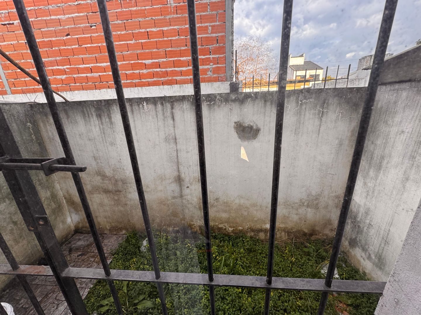 Imagen 13
