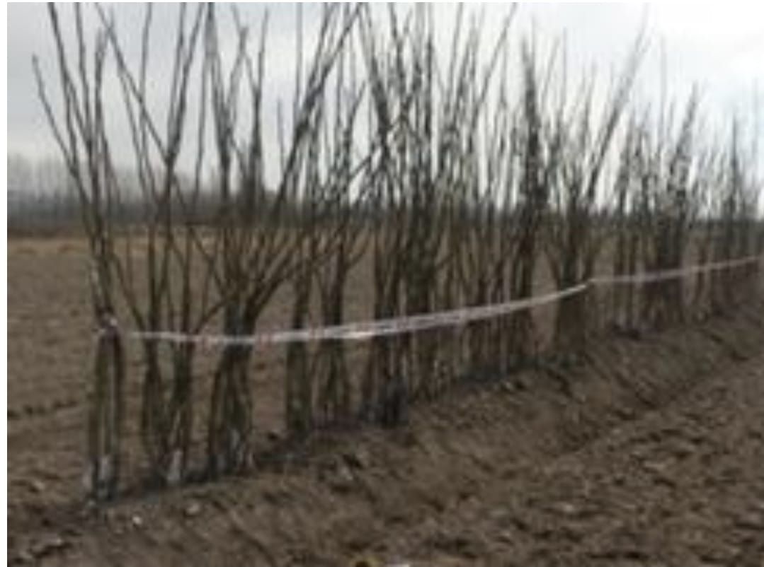 Campo EN VENTA