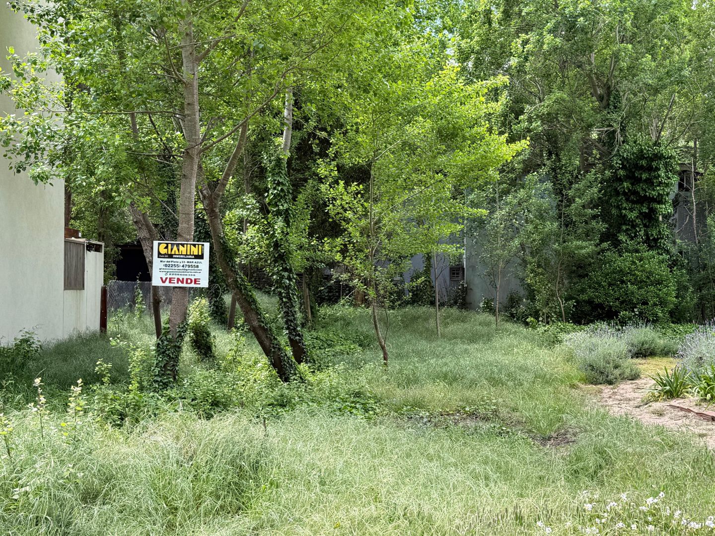 Lote EN VENTA