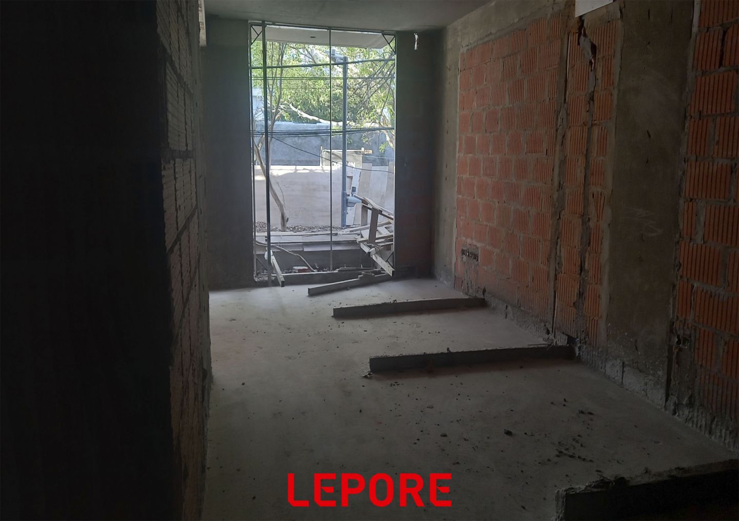 Imagen 5