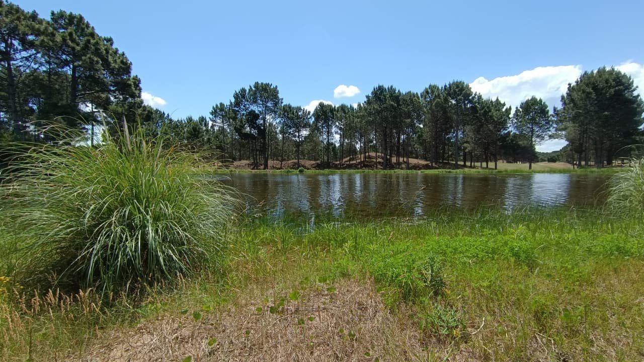 Lote EN VENTA
