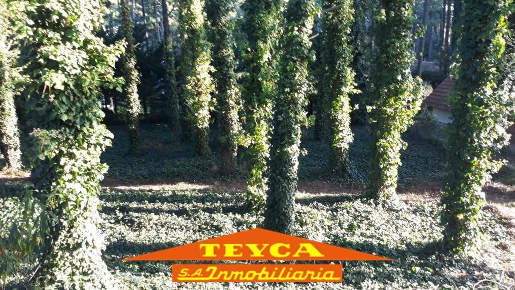 Lote en venta Lasalle 0 ambientes