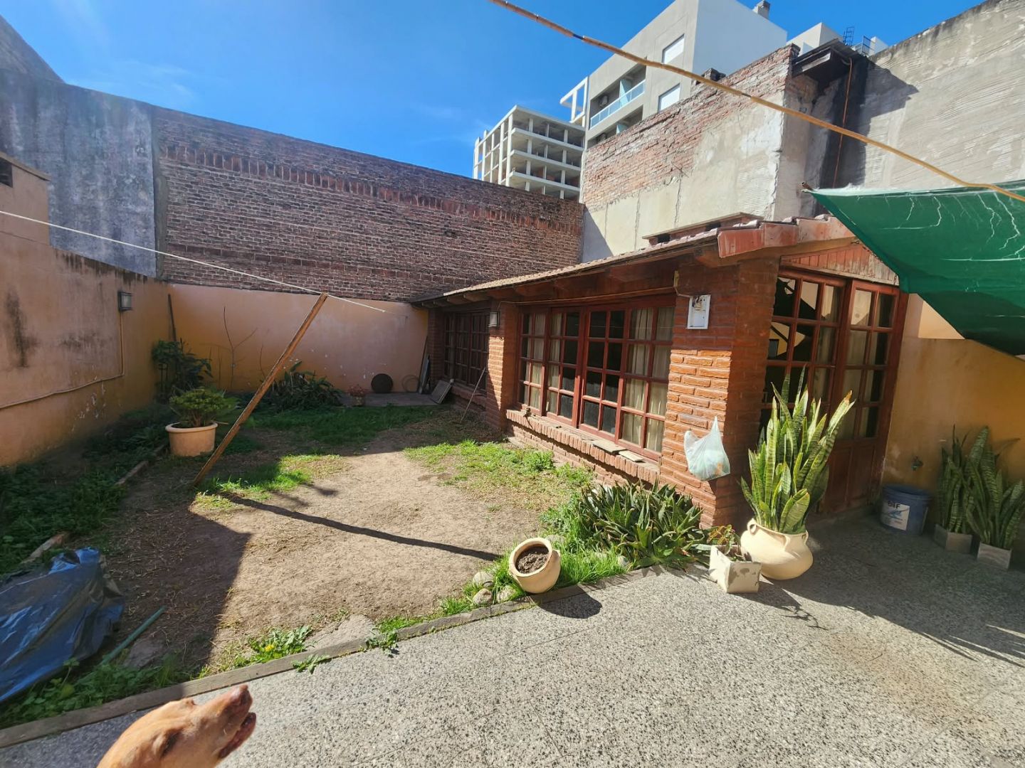 Imagen 22