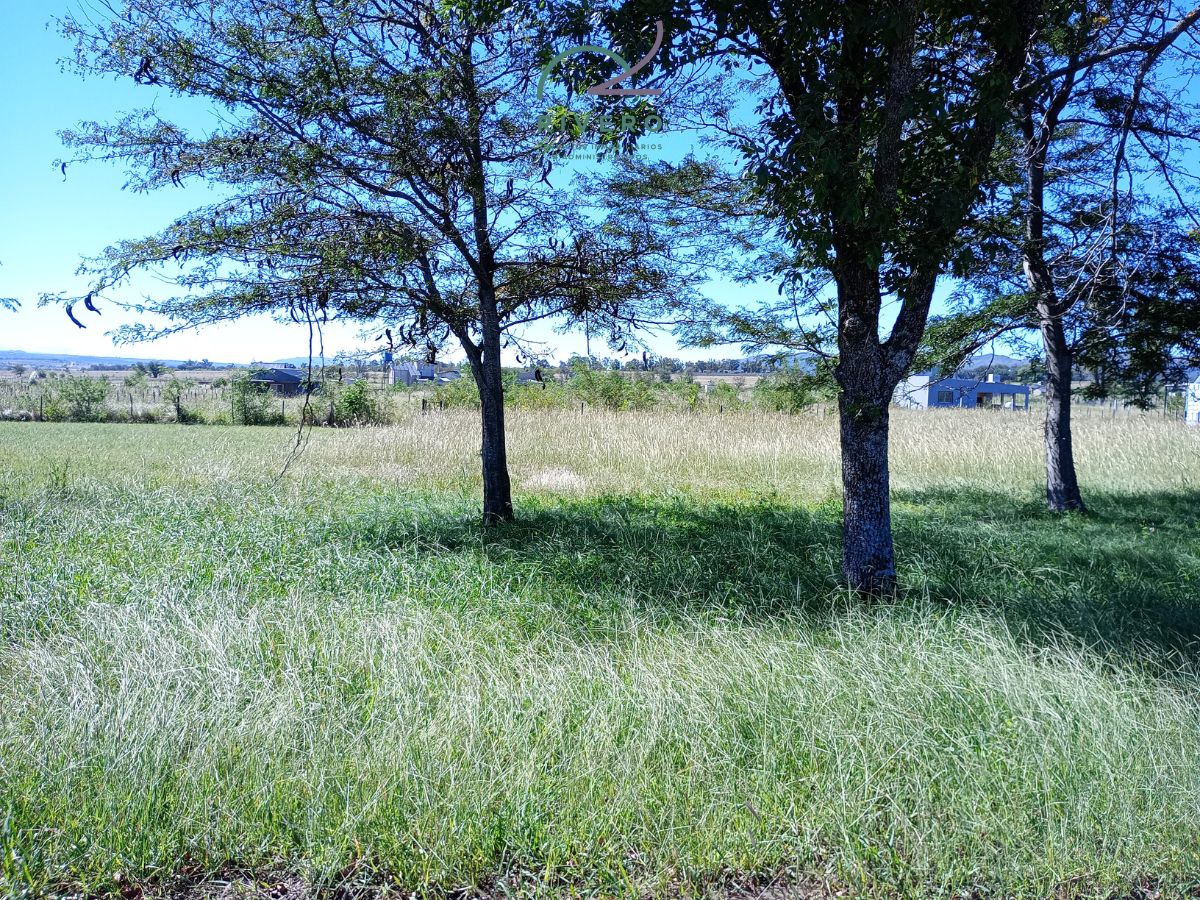 Lote EN VENTA
