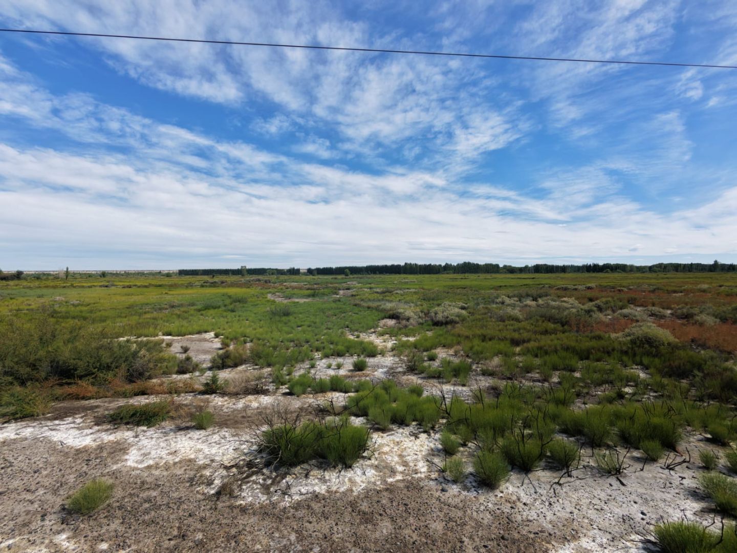 Campo EN VENTA