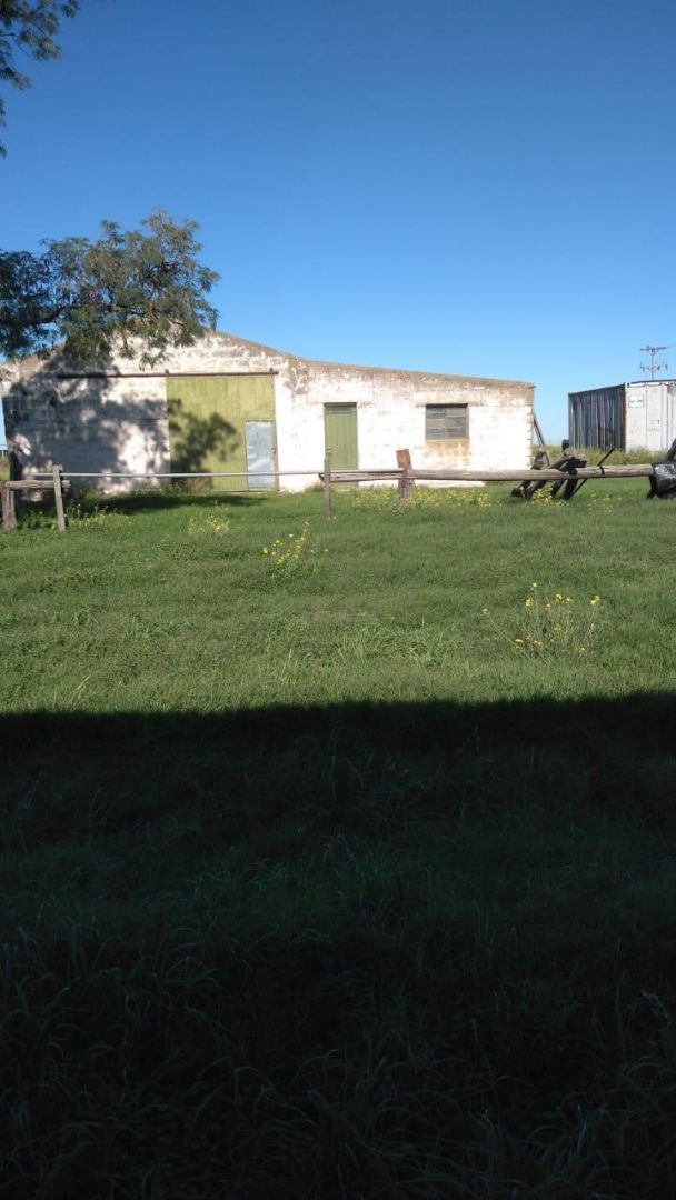 Campo en 