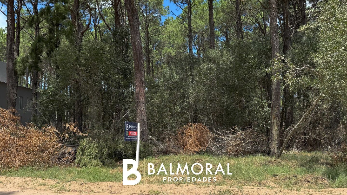 Lote EN VENTA