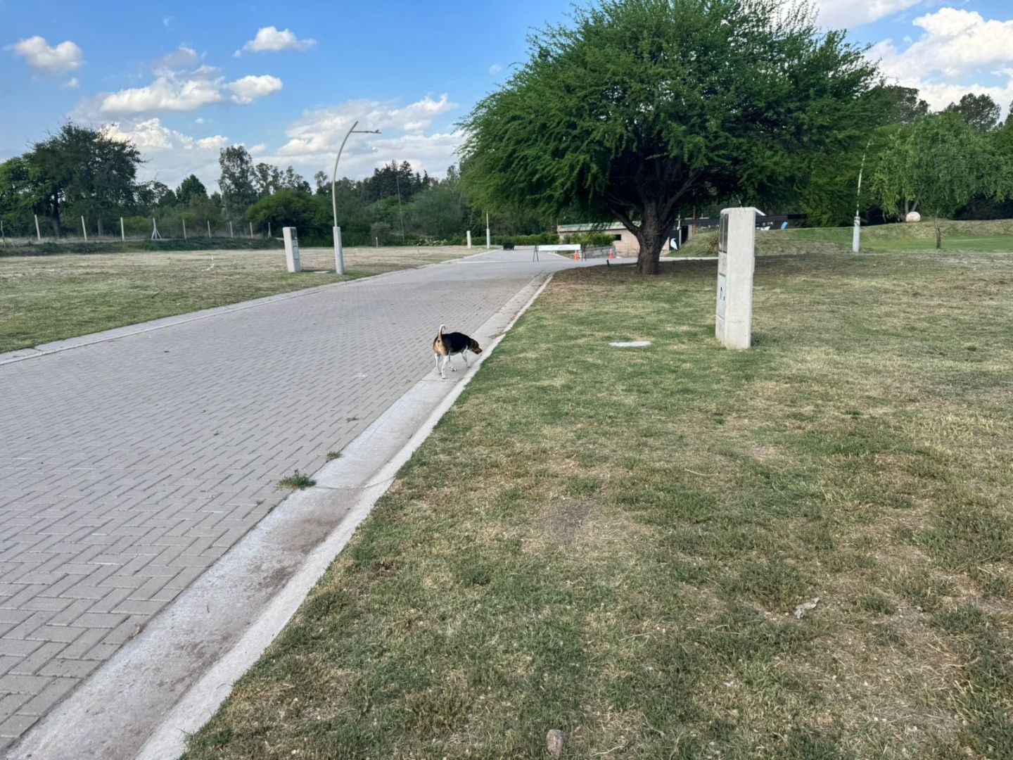 Lote EN VENTA