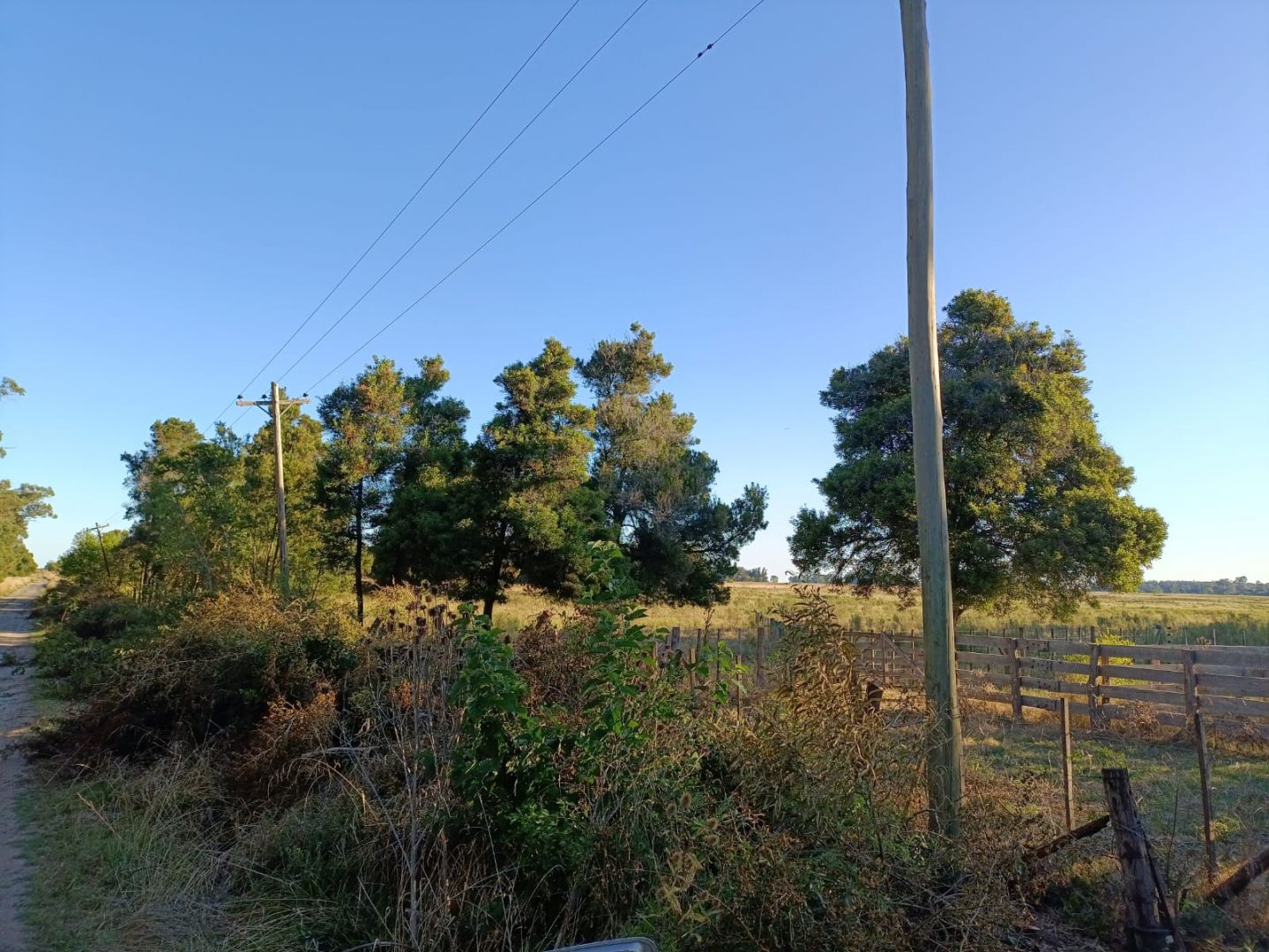 Campo EN VENTA
