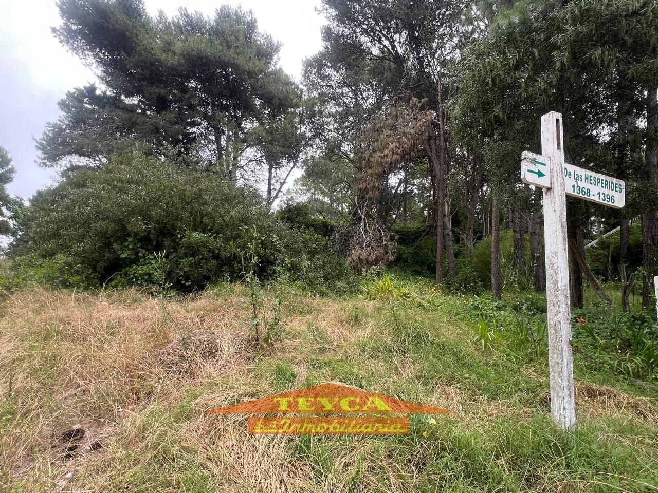 Lote en venta B5 0 ambientes