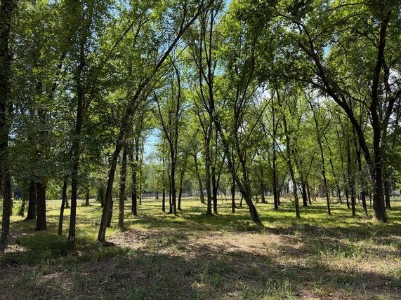 Lote en Venta en Pilar, G.B.A. Zona Norte