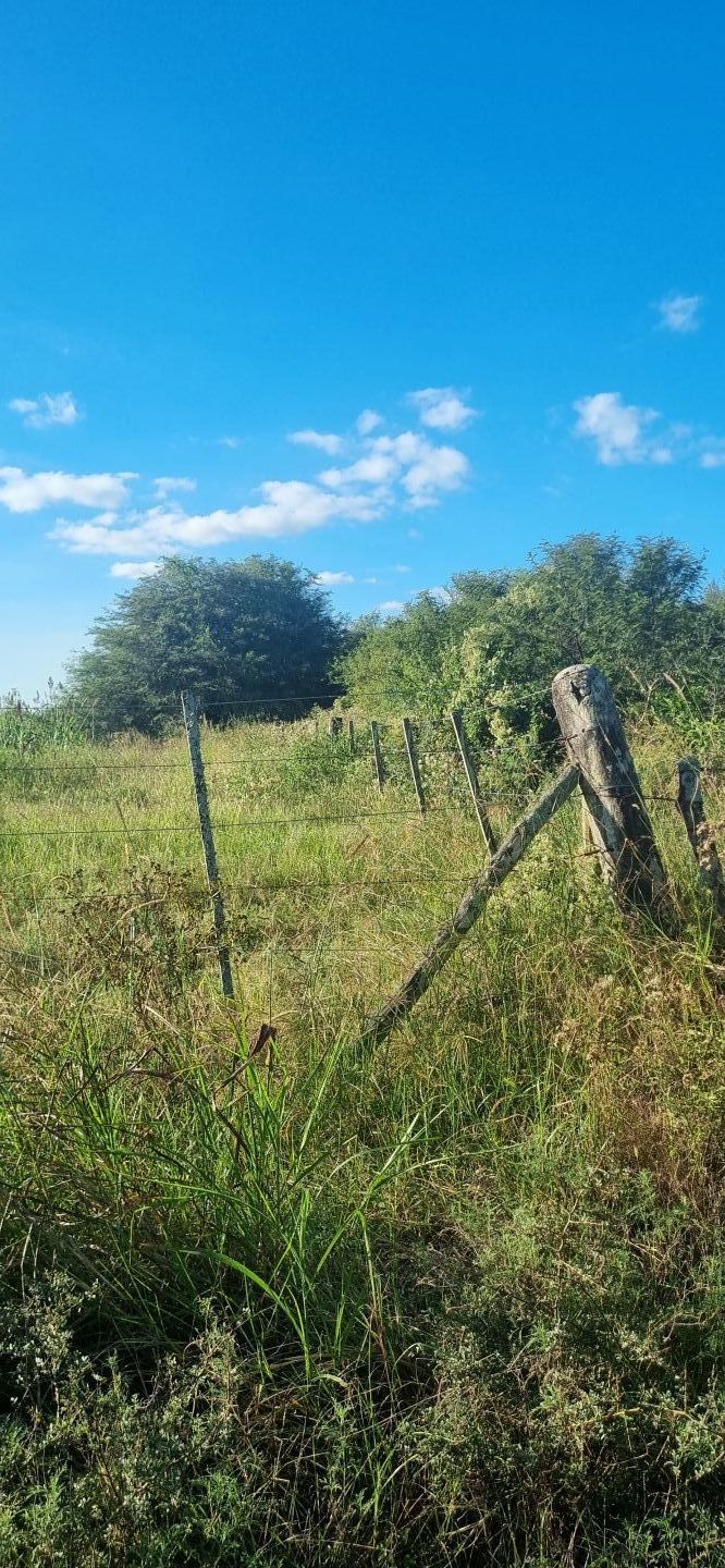Campo EN VENTA