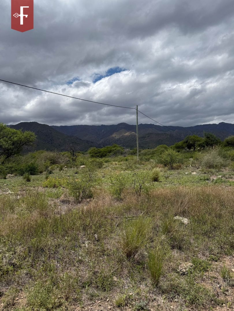 Imagen 5