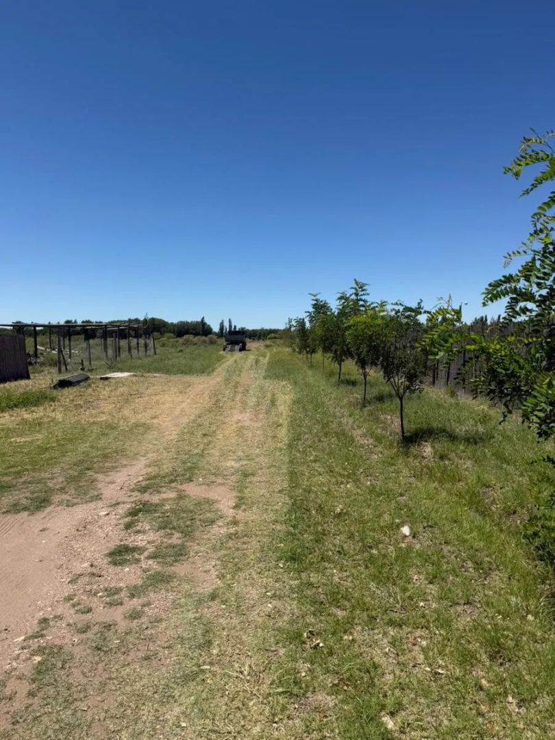 Lote en Venta en San Rafael, Mendoza