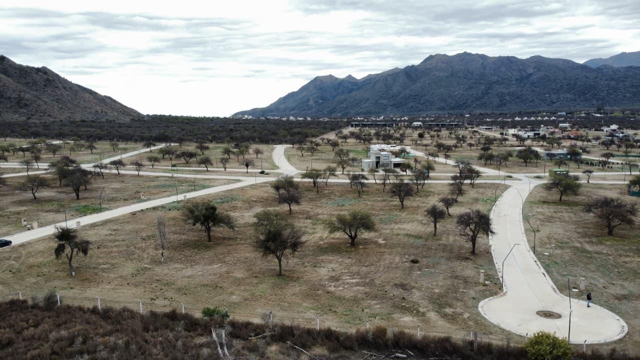Imagen 5