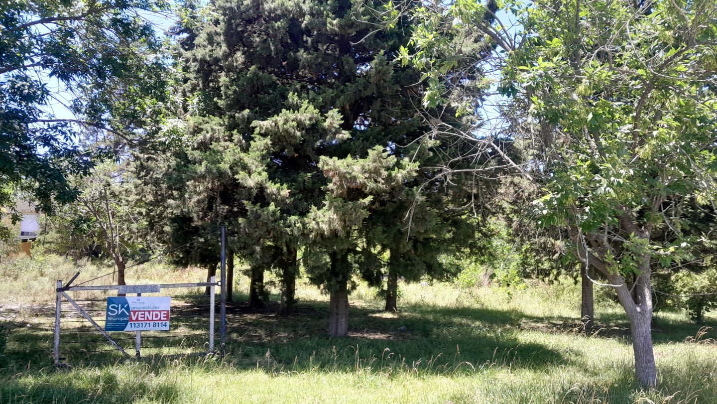 Lote en Venta en Punta Indio, Buenos Aires Interior