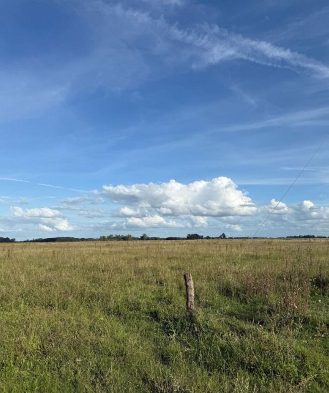 Campo EN VENTA