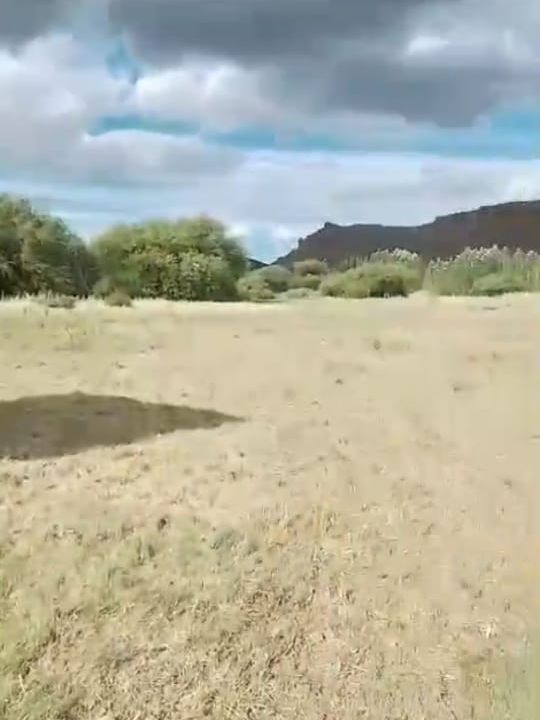 Campo EN VENTA
