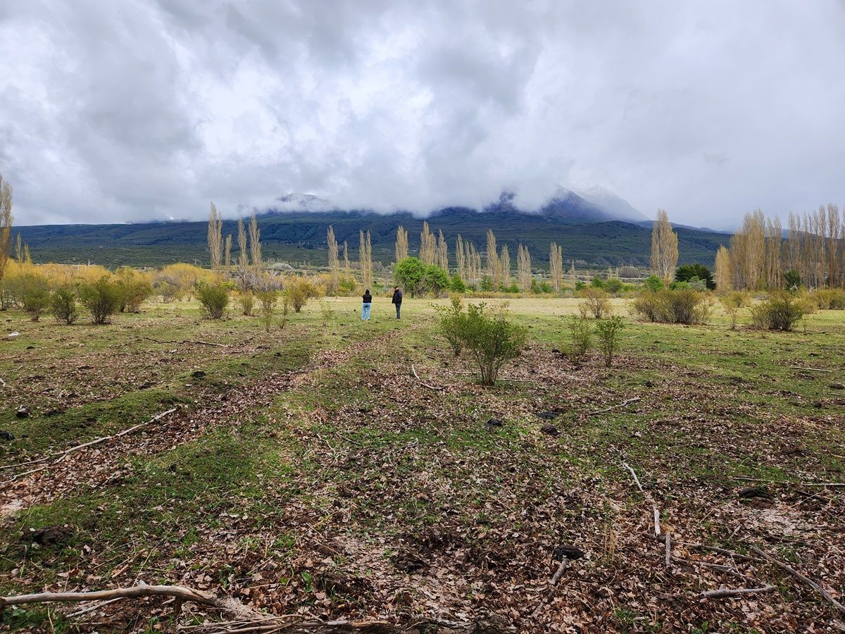 Campo EN VENTA