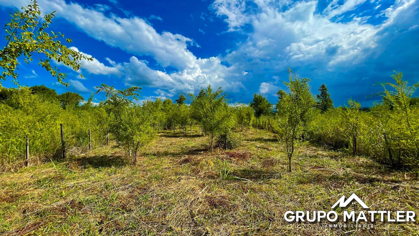 Lote EN VENTA