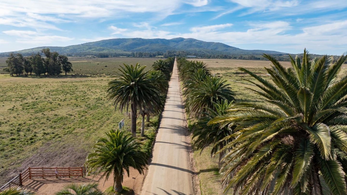 Campo EN VENTA