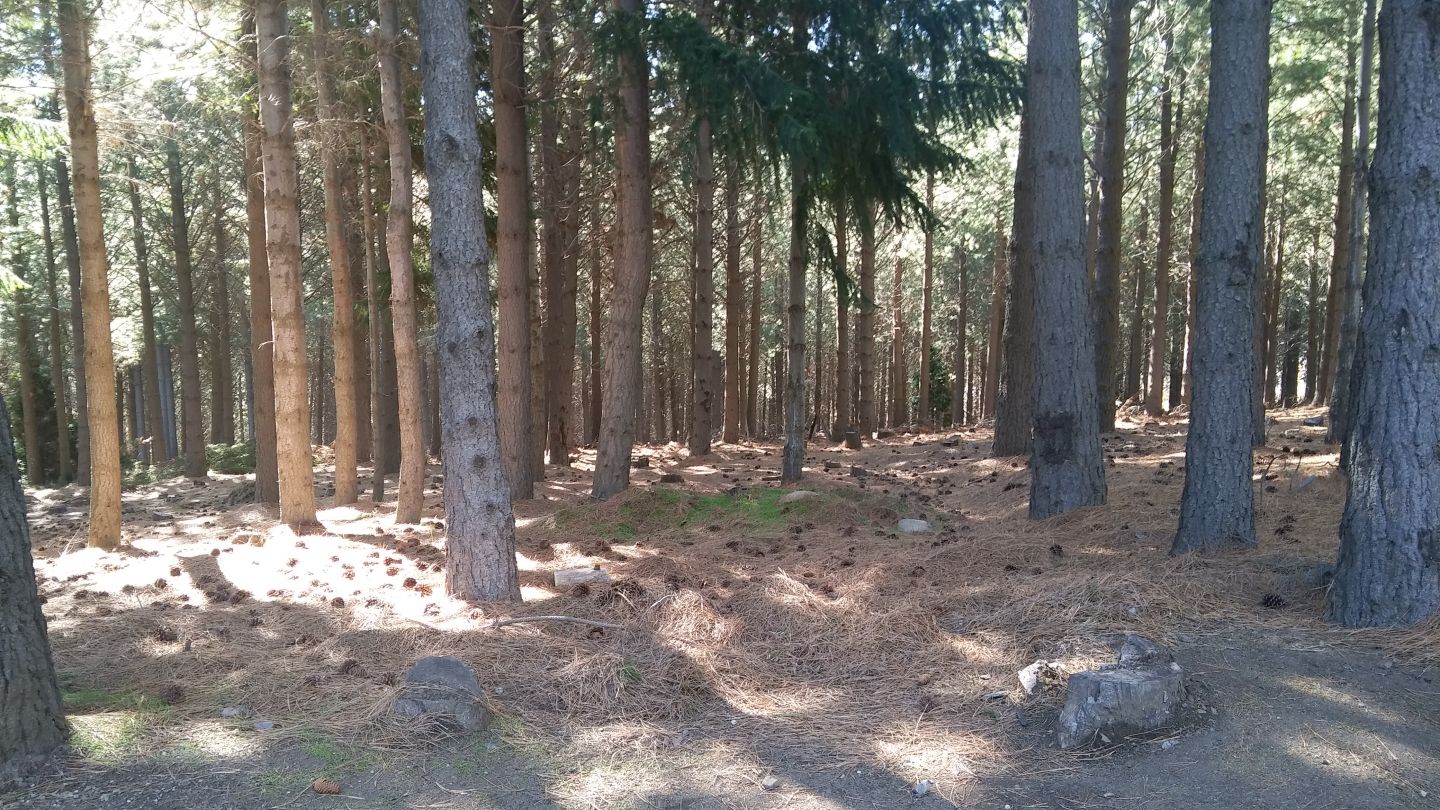 Lote en Venta en San Martin de los Andes, Neuquen