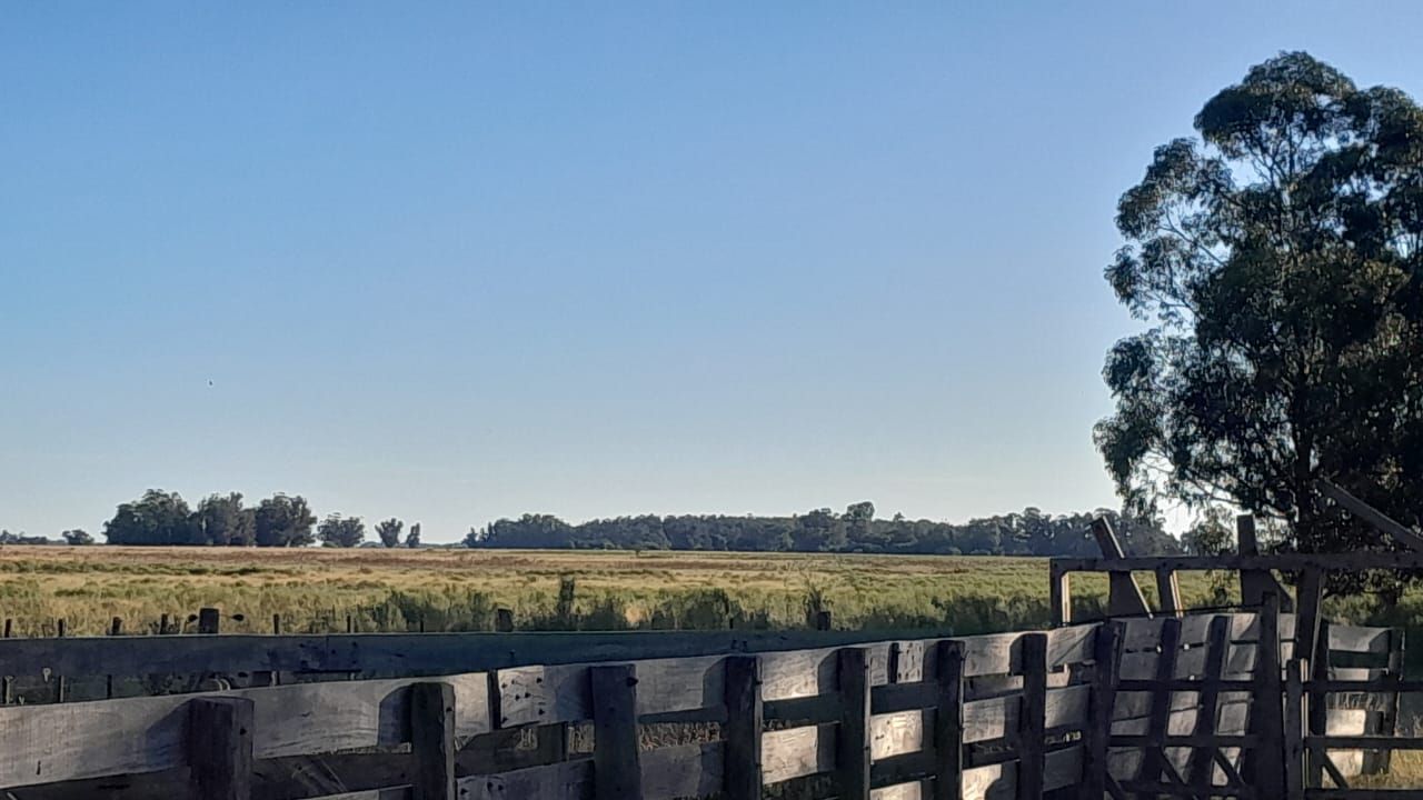 Campo EN VENTA